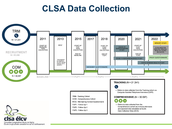 CLSA Data Collection Timeline